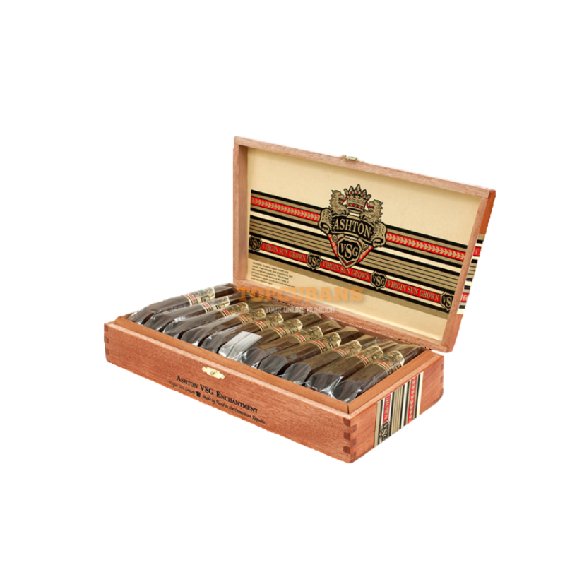 ASHTON VSG ENCHANTMENT BX 22